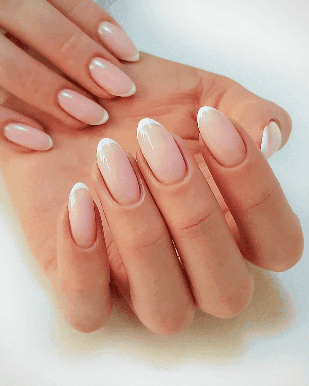 Elegant hands with perfect French manicure nails.
